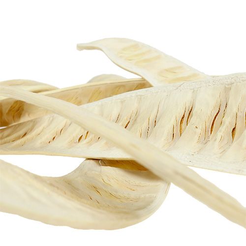 gjenstander Scaletta pod bleket 25 stk