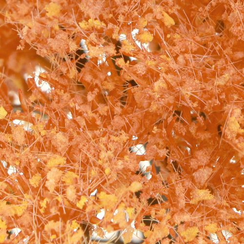 gjenstander Kunstige ryllikblomster Achillea kunstig oransje 30 cm 6 stk