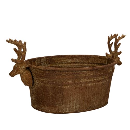 Dekorativ bolle, reinsdyrhode, oval, rustfarget, rustikk, 41 cm kjøpe | Floristik24.no
