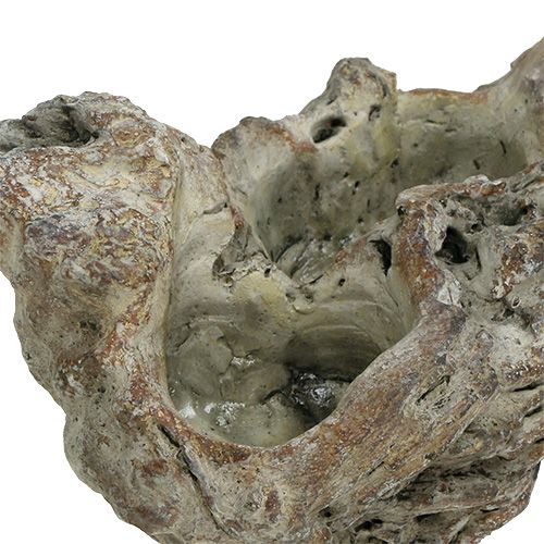 Floristik24 Bolle trerot 25,5 cm x 14 cm H11,5 cm