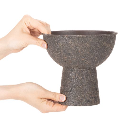 Rund planteskål med base, 18 cm | Floristik24.no