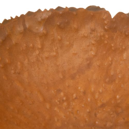 Rund metallskål med rusteffekt, teksturert overflate, 20 cm | Floristik24.no