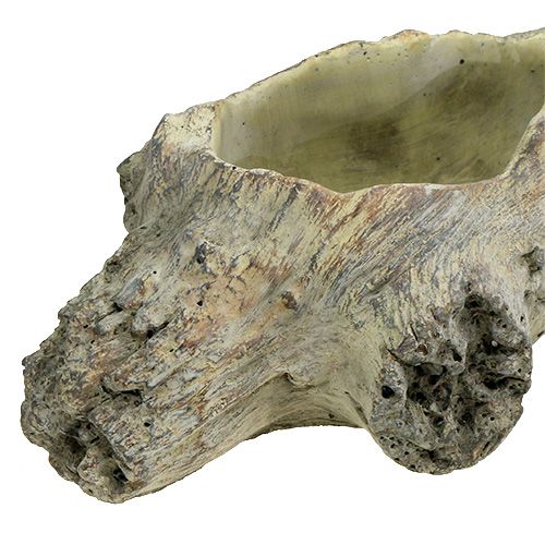 Floristik24 Skål for planting 30cm x 13cm H8,5cm