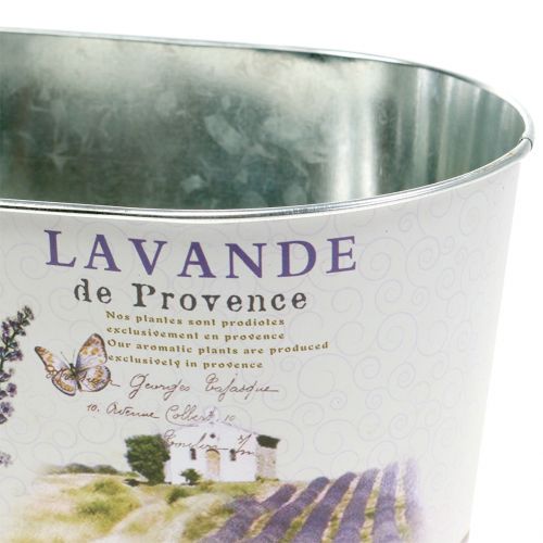 Floristik24 Planteskål lavendel oval 22,5cm x 13,5cm H11cm