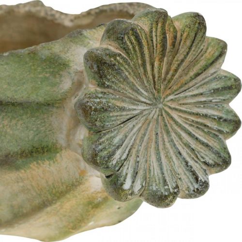 Floristik24 Dekorativ valmuekapsel, betongpotte, cachepot, gravdekor L26cm