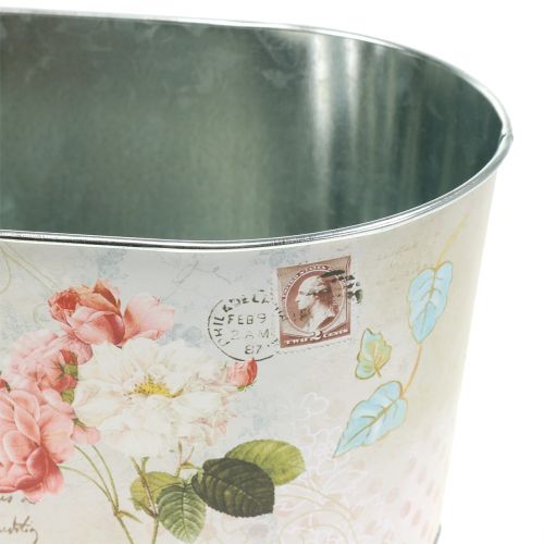 Floristik24 Planteskål roser ovale 22,5cm x 13,5cm H11cm