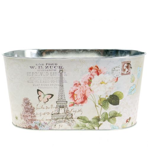 Floristik24 Planteskål roser ovale 22,5cm x 13,5cm H11cm