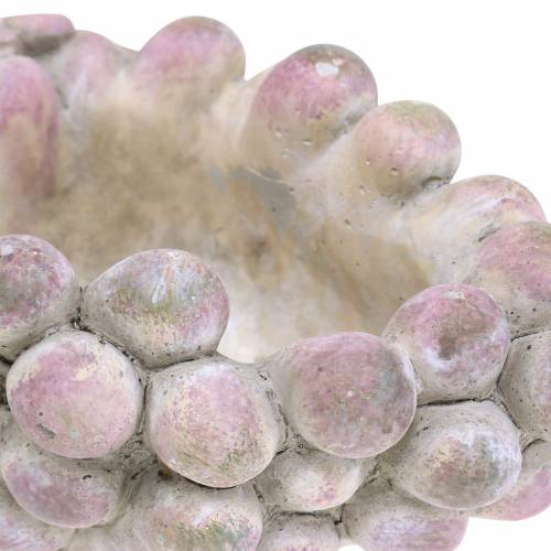 Floristik24 Dekorativ skål druer grå lilla krem 19×14cm H9,5cm