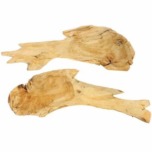 Floristik24 Rototskål 50cm x 17cm H8cm