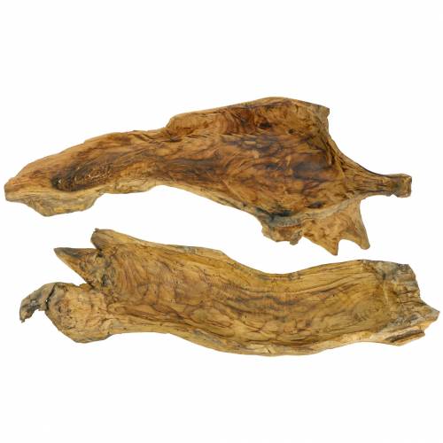 Floristik24 Burl tre bolle flammet 70cm x 27cm H12cm