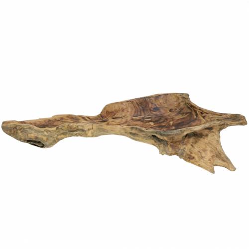 Floristik24 Burl tre bolle flammet 70cm x 27cm H12cm