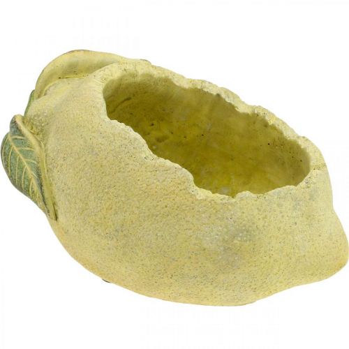 Floristik24 Plantebolle, sitron for planting, middelhavsbetongdekorasjon L22cm