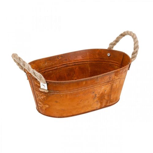 Floristik24 Plantekrukke med håndtak, urteskål, høstdekor, patina L28cm H11cm
