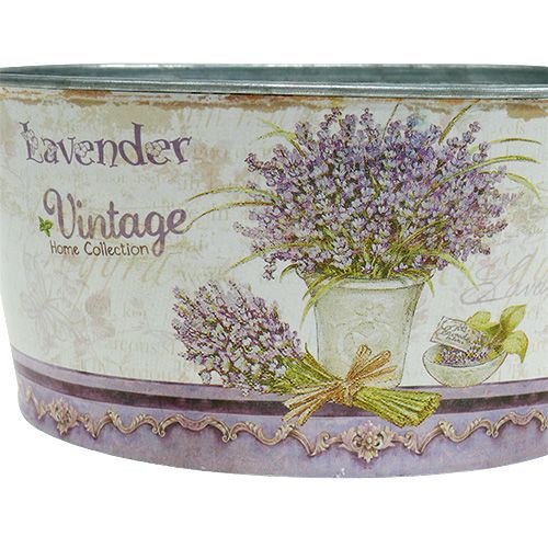 Floristik24 Planterbolle sett med 3 runde lavendel Ø17-23cm