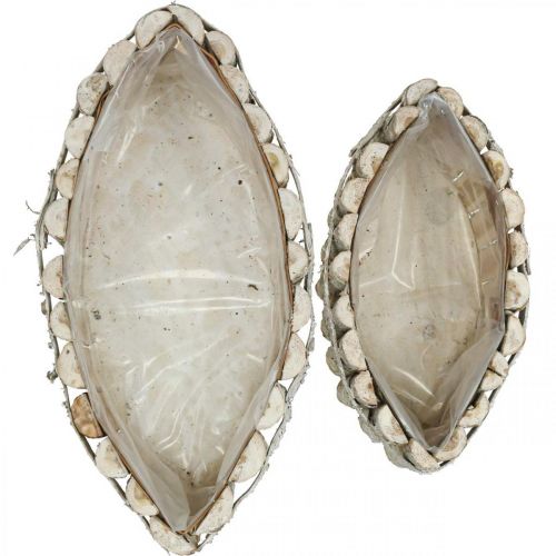 Floristik24 Planteskål, plantekasse av tre, jardiniere L37,5/28cm H10/9cm sett med 2