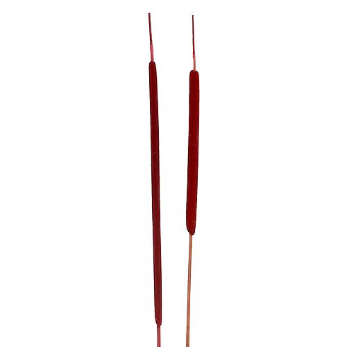 Floristik24 Sivflakmiks rød 100 stk