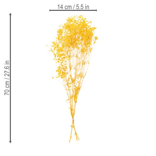 gjenstander Tørket blomsterbukett med babypust. Dekorative blomstrende grener egnet for sesongbasert borddekorasjon. 70 cm