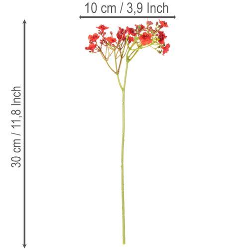 Kunstig babyånde, rød, bukett som blomsterdekorasjon, 30 cm, 10 stk. | Floristik24.no