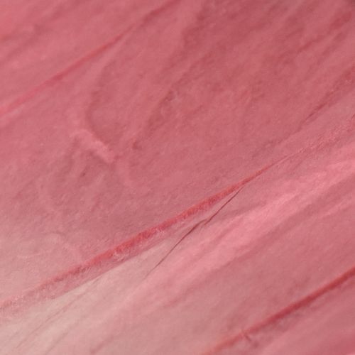 gjenstander Stor hengende sommerfugldekorasjon, elegant veggdekorasjon, 50 cm, 2 stk.