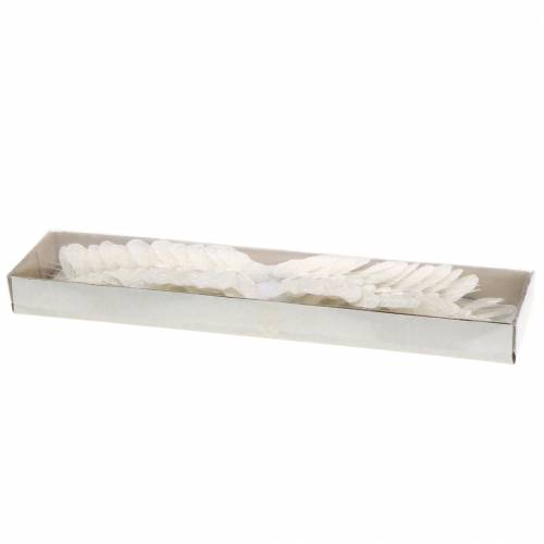 Floristik24 Fjærsommerfugl med tråd hvit, glitter 5cm 24 stk