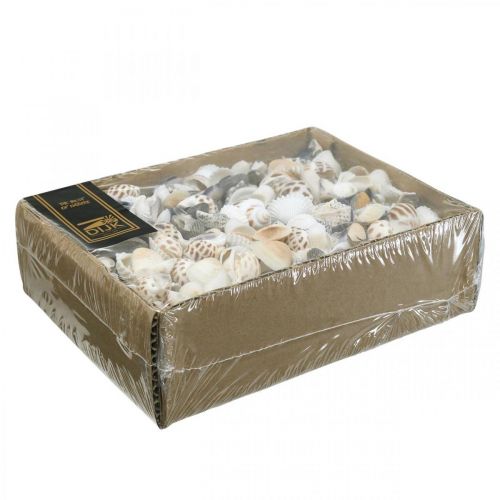 Floristik24 Mussel Mix Mini, Sjøsnegler, Naturlige blåskjell L1–4cm 1000g