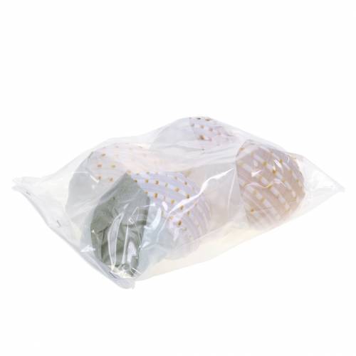 Floristik24 Dekorativ skjellsnegl Tonna tessellata naturell 10-13cm 4 stk.