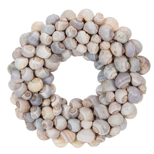 Floristik24 Sneglekrans til oppheng, dekorativ krans, maritim stil, Nathai, Ø35 cm