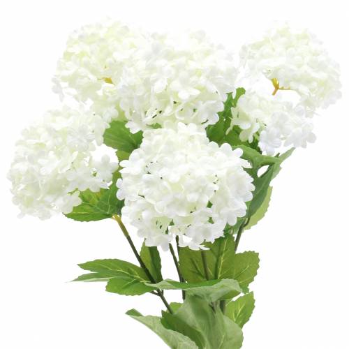 Floristik24 Snowball Viburnum Gren Hvit 42,5 cm