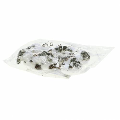 Floristik24 Snøfugl på klips 8cm x 6,5cm 6 stk