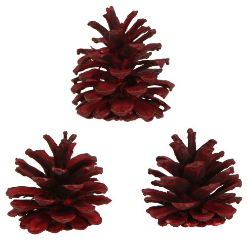 gjenstander Sorte kongler Bordeaux dekorative kongler rød 6-8cm 6 stk