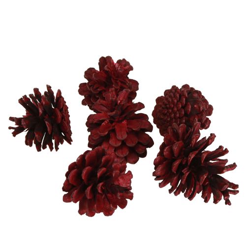 gjenstander Sorte kongler Bordeaux dekorative kongler rød 6-8cm 6 stk