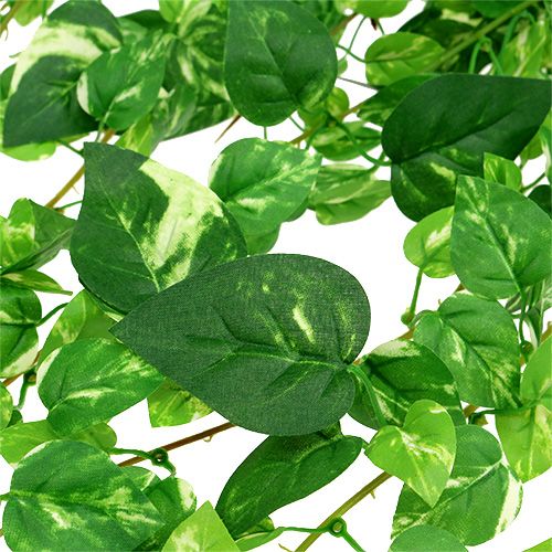 Floristik24 Scindapsus tendril kunstig 90cm