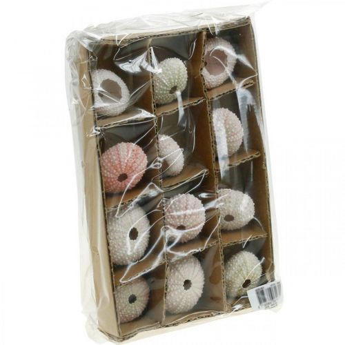 Floristik24 Kråkebollepynt maritim rosa, hvit, grønn sommerpynt 12 stk