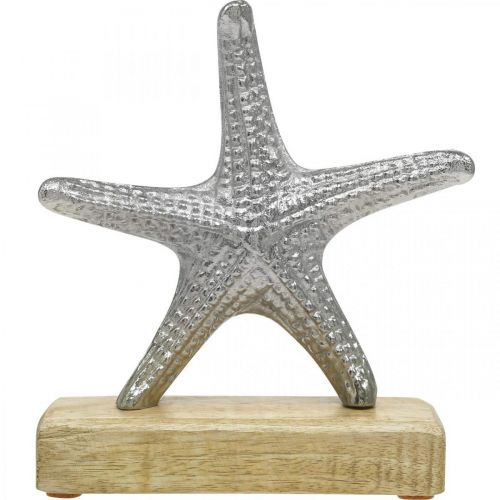Floristik24 Metall sjøstjerner, maritim dekorasjon, dekorativ skulptur sølv, naturlige farger H18cm