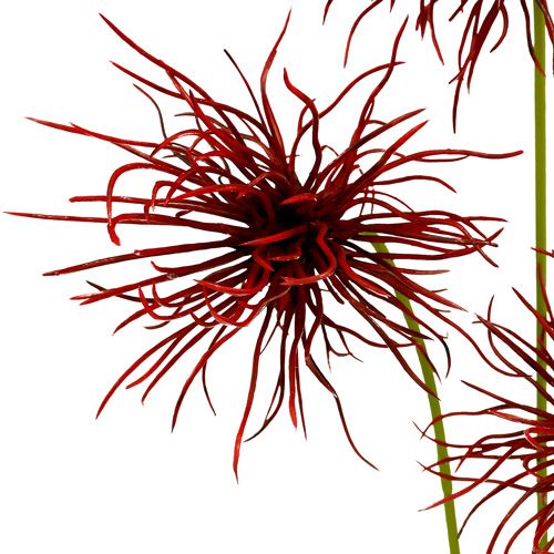 Floristik24 Silkeblomster Xanthium Bordeaux 64cm 4stk