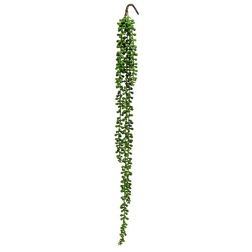 Floristik24 Senecio henger 75cm grønn