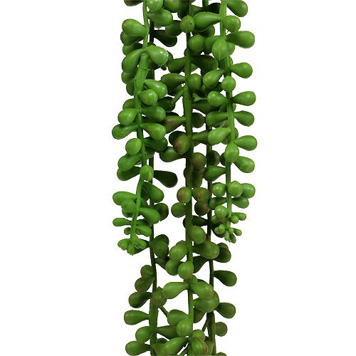 Floristik24 Senecio henger 75cm grønn