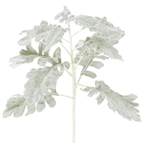 Kunstig Senecio-gren, sølvblad, intrikat utformet, 45 cm, 3 stk. kjøpe | Floristik24.no