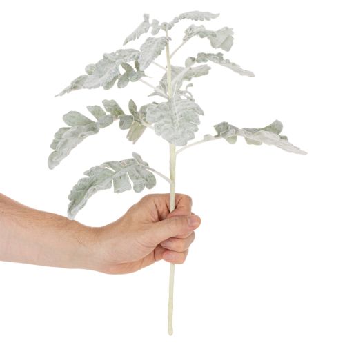 Kunstig Senecio-gren, sølvblad, intrikat utformet, 45 cm, 3 stk. | Floristik24.no