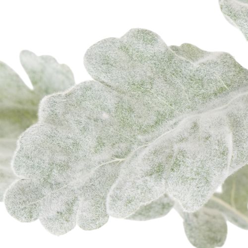 Kunstig Senecio-gren, sølvblad, intrikat utformet, 45 cm, 3 stk. | Floristik24.no