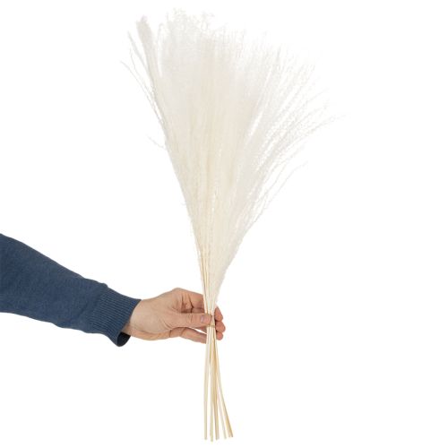 gjenstander Tørkede blomster, sølvgress. Elegant naturlig dekorasjon for hjem og kontor. 70 cm, 10 stk.