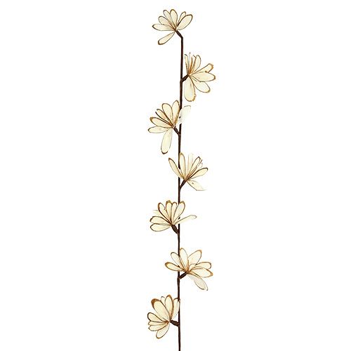 Floristik24 Sola Chips Sunny Stick Brun, Hvit 6 stk.