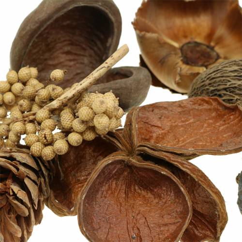 Floristik24 Eksotisk sortiment med strobus kjegler natur 300g