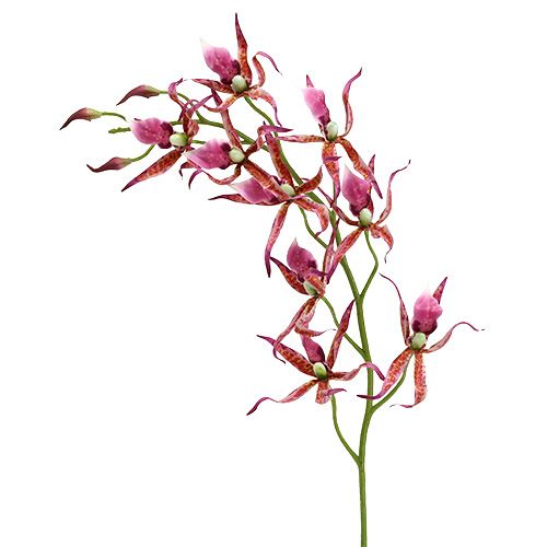 Floristik24 Edderkopp orkideer rosa-oransje 108cm 3stk