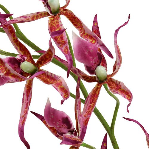 Floristik24 Edderkopp orkideer rosa-oransje 108cm 3stk