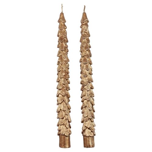 Floristik24 Taper Candles Brune Metallic Candles Julelys 25cm 2stk