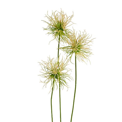 Spisset burdock kvister kremgrønn 63cm 4stk