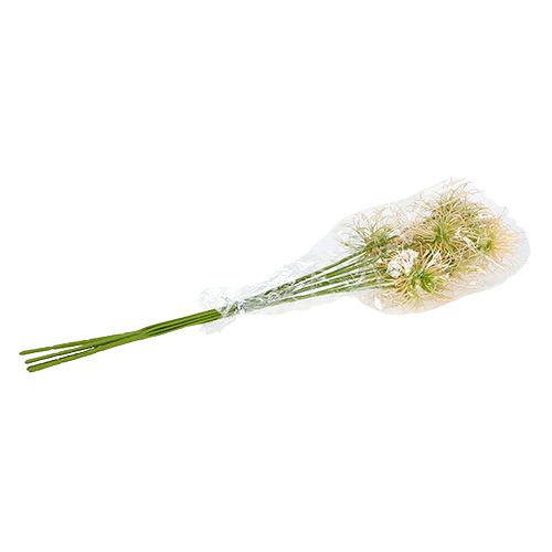 Floristik24 Spisset burdock kvister kremgrønn 63cm 4stk
