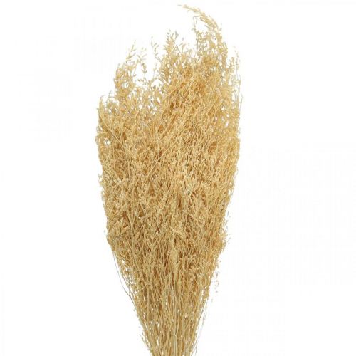 Floristik24 Tørket Sea Lavender Cream Statice Dry Deco 100g