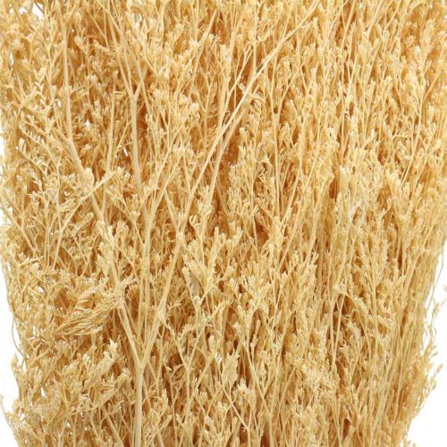 Floristik24 Tørket Sea Lavender Cream Statice Dry Deco 100g